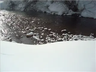 small_Breck2008 013.webp